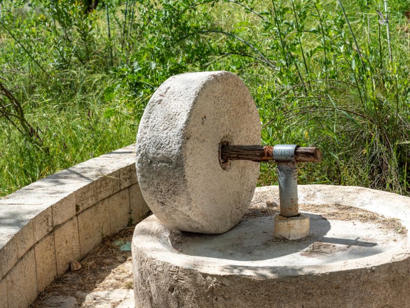 Museo del Olio di Cisano di Bardolino