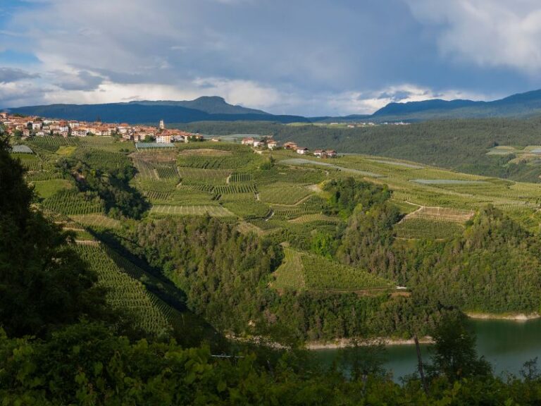 Wochenmarkt in Cles – Mercato di Cles Wochenmarkt in Cles – Mercato di Cles