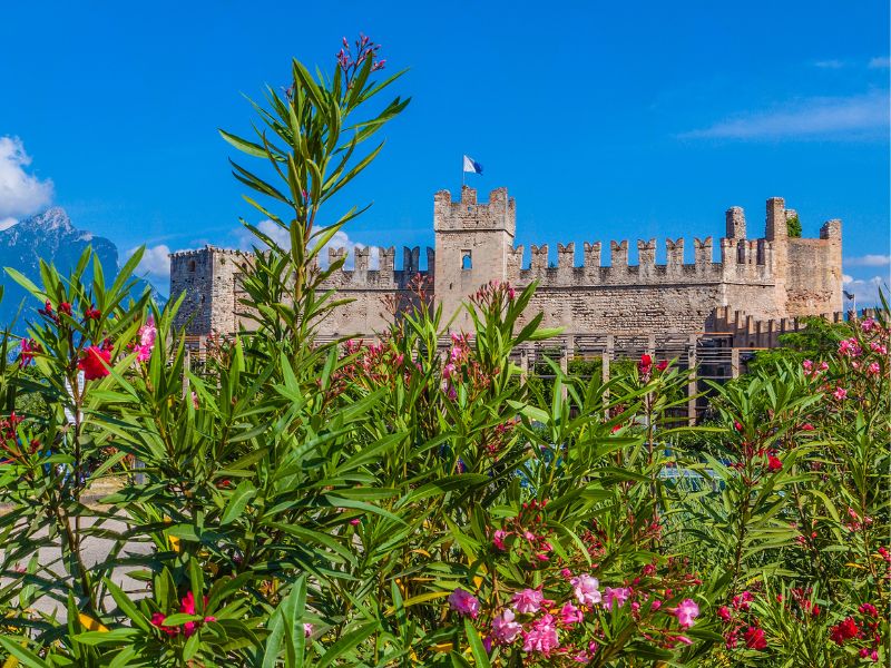 Castello Scaligero di Torri del Benaco