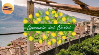 Limonaia del Castèl | Das Zitronenhaus | Limone sul Garda | Gardasee
